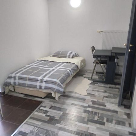 Studio Unique Apartment Timisoara Bagian luar foto