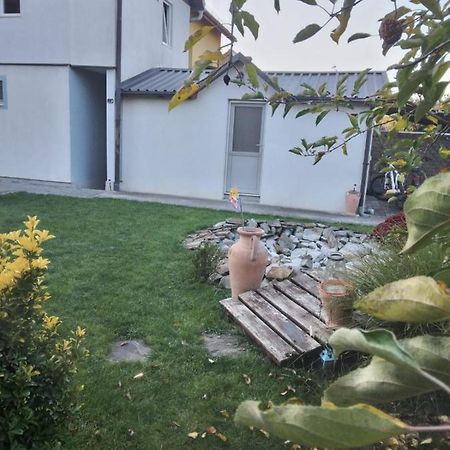 Studio Unique Apartment Timisoara Bagian luar foto