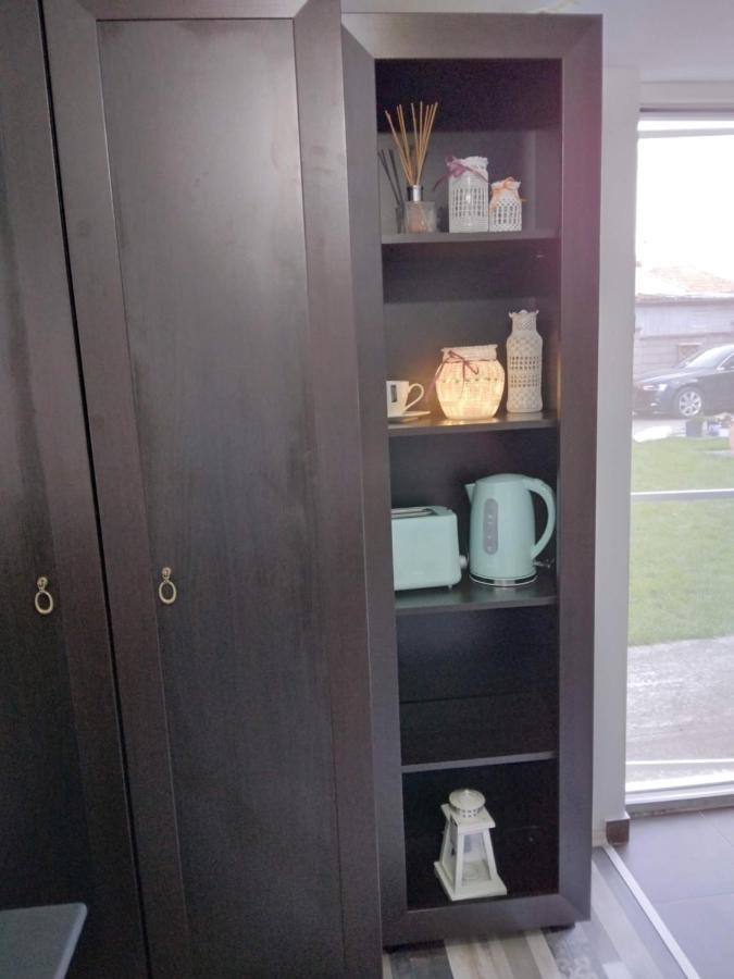 Studio Unique Apartment Timisoara Bagian luar foto