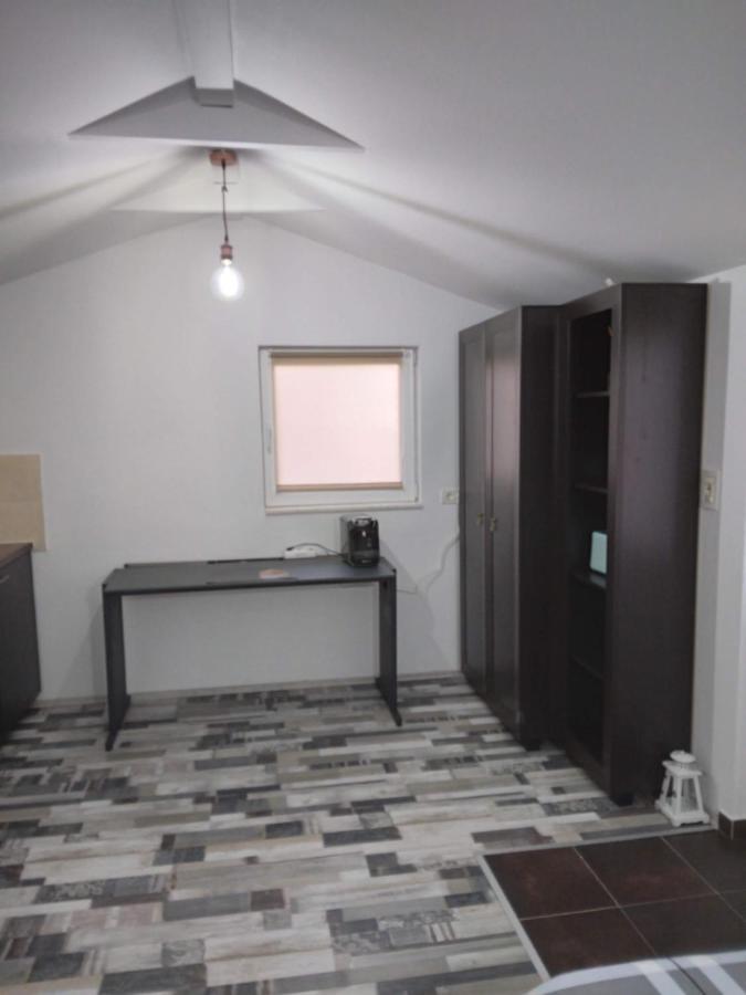Studio Unique Apartment Timisoara Bagian luar foto