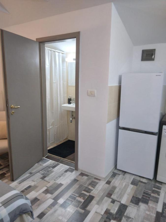 Studio Unique Apartment Timisoara Bagian luar foto