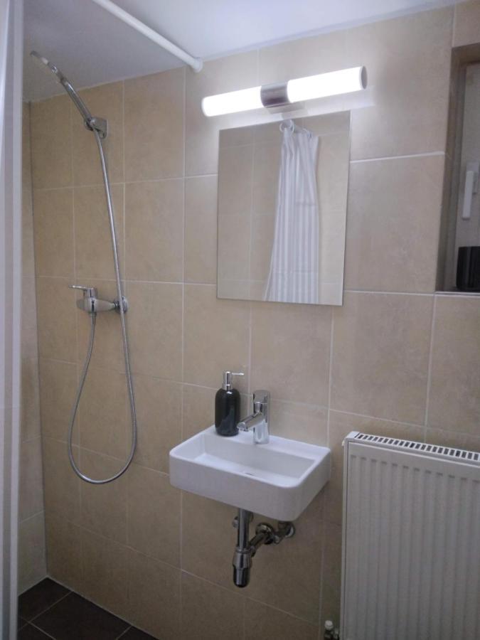 Studio Unique Apartment Timisoara Bagian luar foto