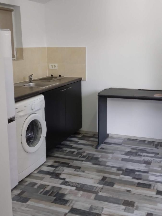 Studio Unique Apartment Timisoara Bagian luar foto