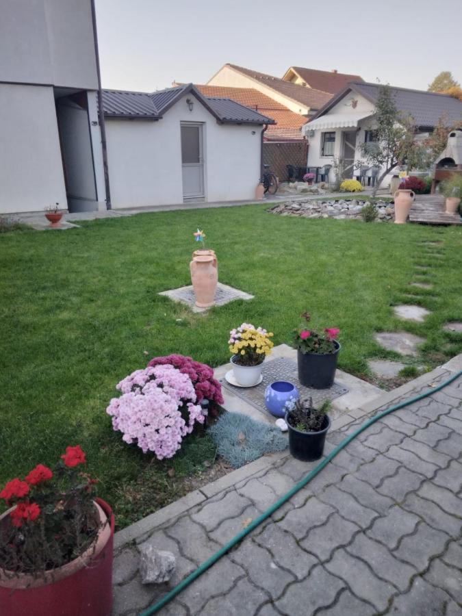 Studio Unique Apartment Timisoara Bagian luar foto
